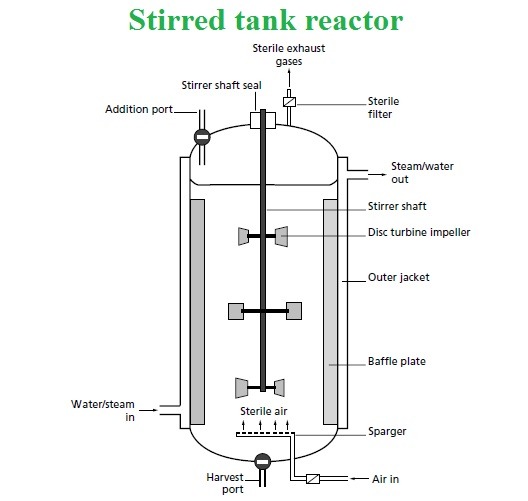 stirred tank reactor