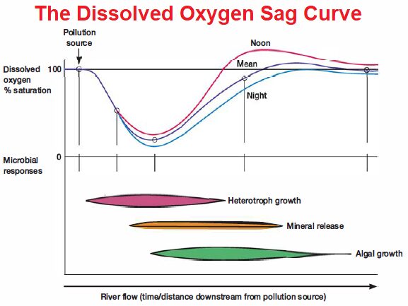 The Dissolved Oxygen Sag Curve