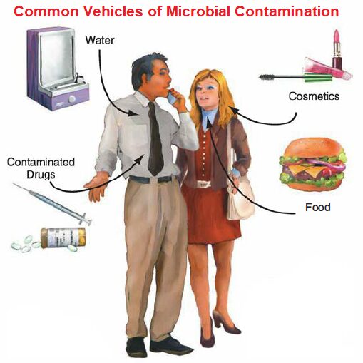 Common Vehicles of Microbial Contamination