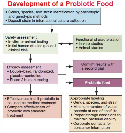 The Development of a Probiotic Food
