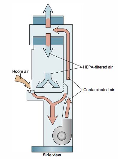 airflow pattern within a class II safety cabinet