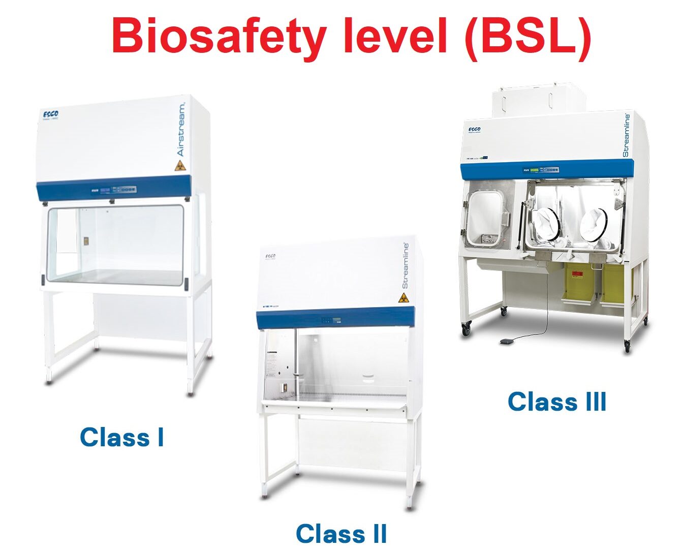 Biosafety level (BSL)