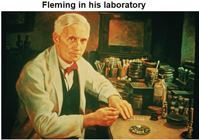 Alexander Fleming in his laboratory