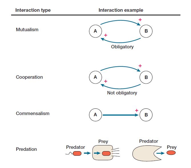 Microbial Interactions In The Environment Microbiology Notes