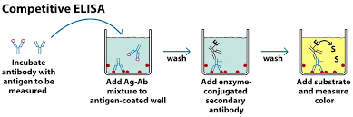 Enzyme immunosorbent assays or ELISA ~ Microbiology Notes