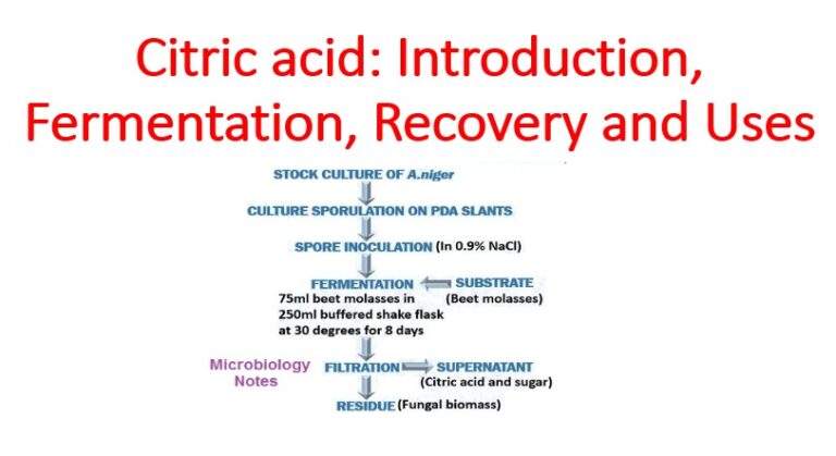 Citric acid: Introduction, Fermentation, Recovery and Uses