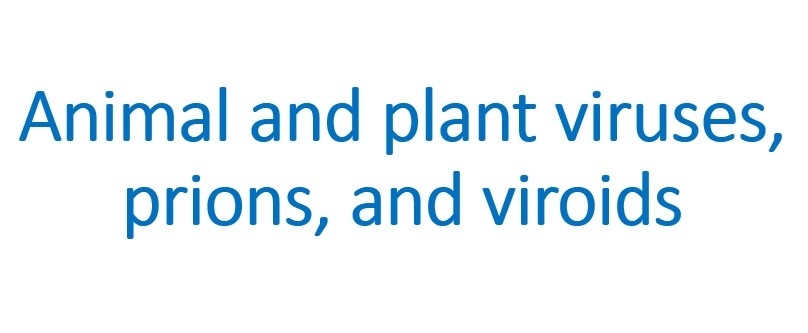 Animal and plant viruses prions and viroids1