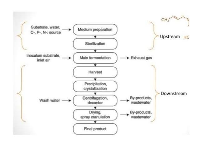 Riboflavin: Fermentation, Harvesting and Uses - Fermentation Of The Ascomycetes Riboflavin