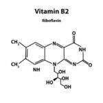 Riboflavin: Fermentation, Harvesting and Uses