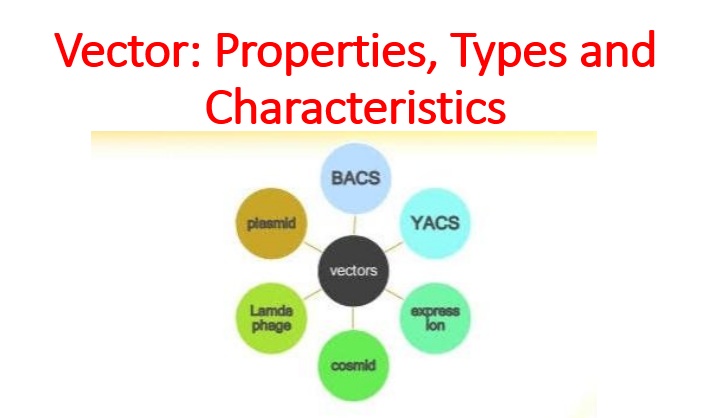 Vector Properties Types And Characteristics ~ Microbiology Notes 3600