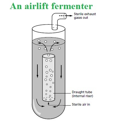 an airlift fermenter