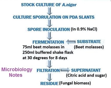 flow chart of citric acid production