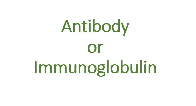 Antigen or Immunoglobulins