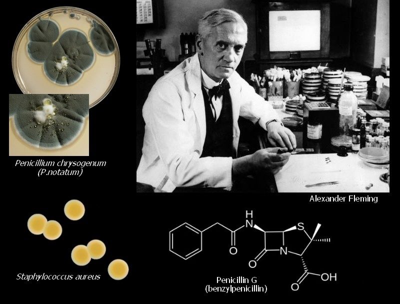 History of Penicillin