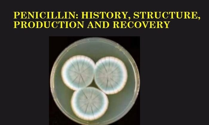 Penicillin: History, Structure, Production and Recovery