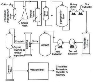 Penicillin: History, Structure, Production and Recovery