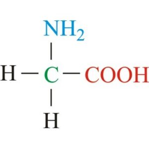 Amino acids: Structure, Optical activity and Classifications