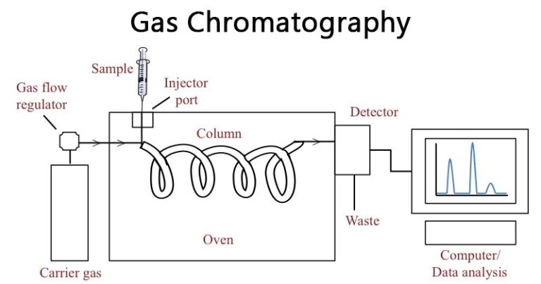 What Are The Stationary And Mobile Phases In Gas Chromatography Gc