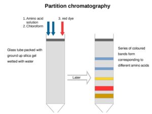 Different Types Of Chromatography - Microbiology Notes