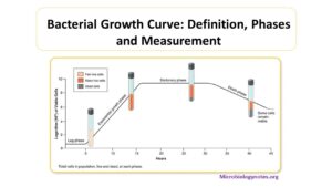 bacterial growth curve phases - Microbiology Notes