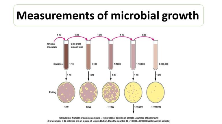 Measurements of microbial growth