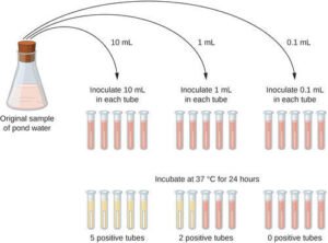 Measurements of microbial growth - Microbiology Notes