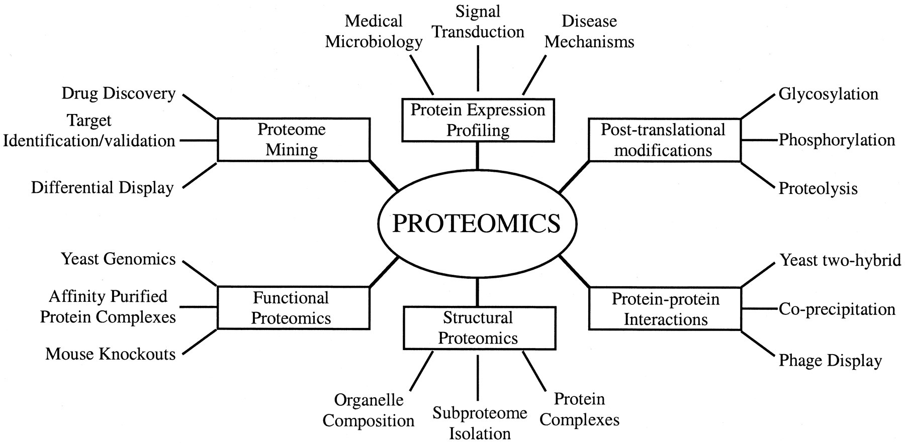 Types of Proteomics