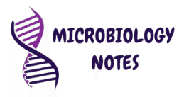 Microbiology Notes