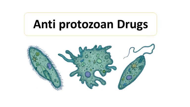 Anti protozoan Drugs