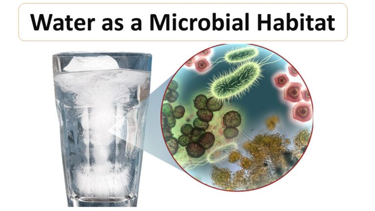 Water as a Microbial Habitat