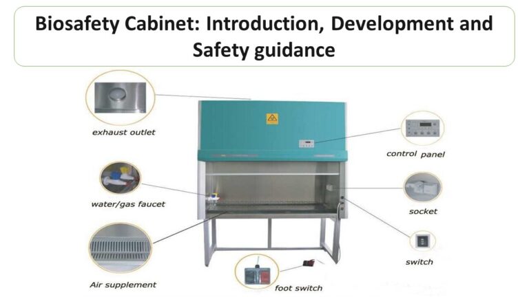Biosafety Cabinet Introduction Development and Safety guidance