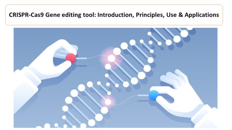 CRISPR-Cas9 Gene editing tool: Introduction, Principles, Use & Applications
