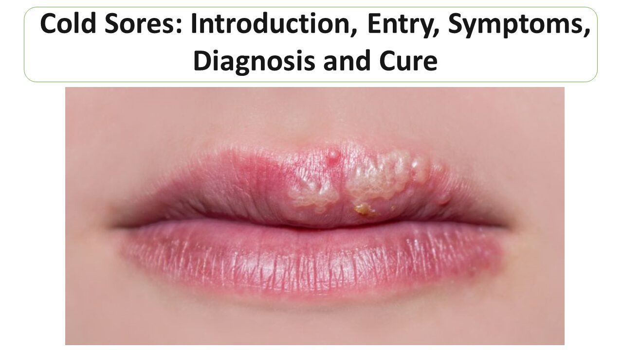 Lip Sores Types