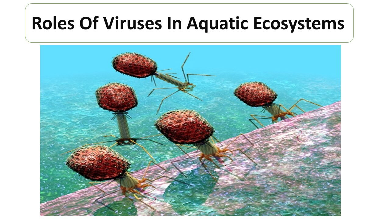 Environmental Microbiology Microbiology Notes