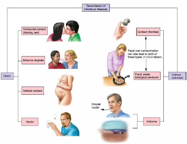 Transmission of Infectious Disease