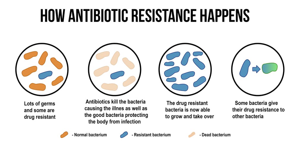 Antibiotic Resistance in pathogen
