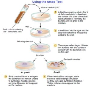 Techniques for Identifying Mutants - Microbiology Notes