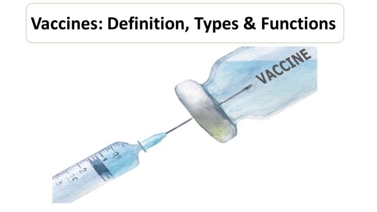 Vaccines: Definition, Types & Functions