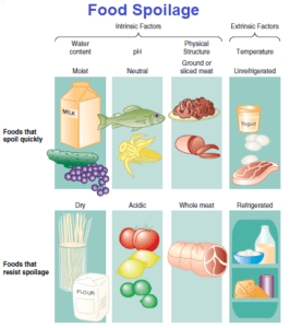 Food Spoilage Temperature Chart