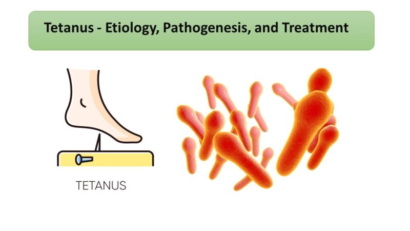 Tetanus Microbiology