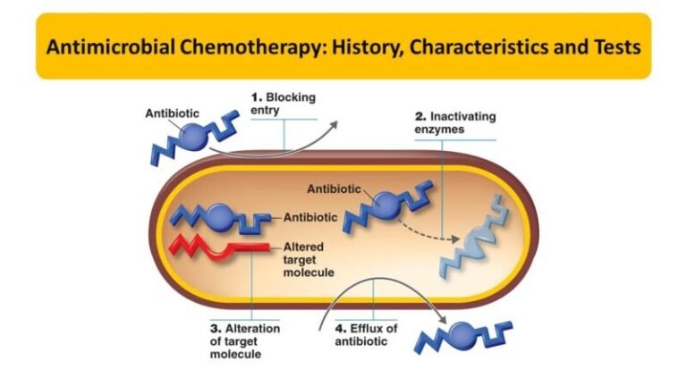 Antimicrobial Chemotherapy: History, Characteristics and Tests