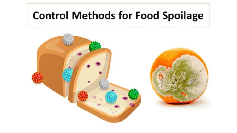 Control Methods for Food Spoilage