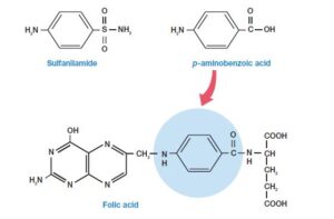 Sulfonamides