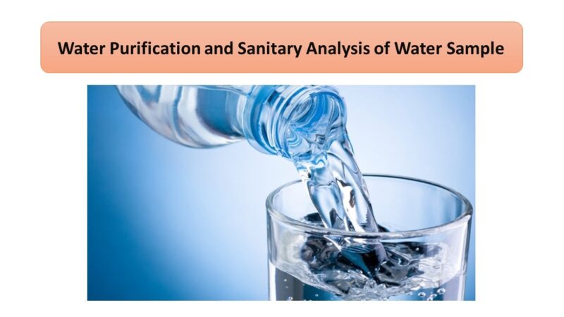 Water Purification and Sanitary Analysis of Water Sample