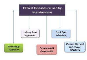 Clinical Diseases caused by Pseudomonas