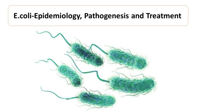 E.coli-Epidemiology, Pathogenesis and Treatment
