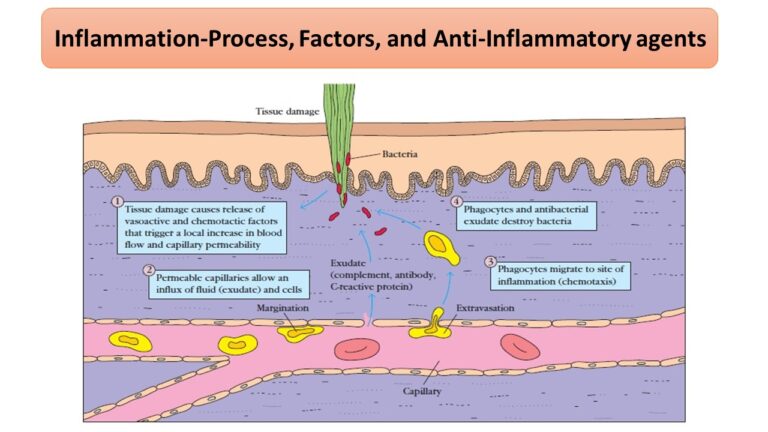 Inflammation-Process, Factors, and Anti-Inflammatory agents