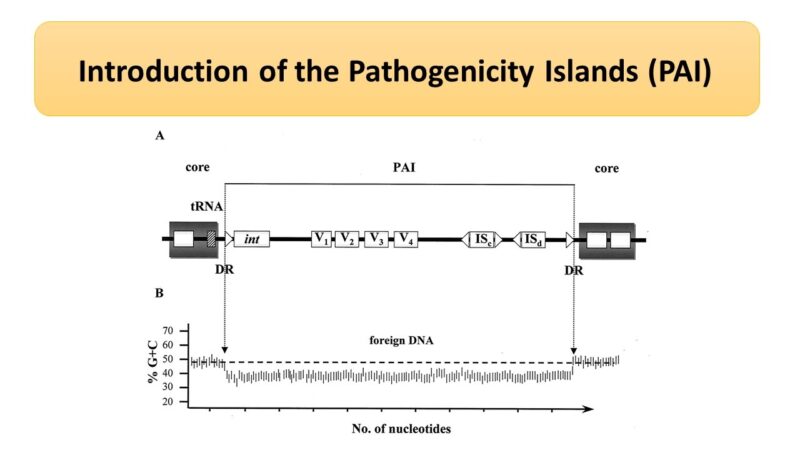 Introduction Of The Pathogenicity Islands Pai Microbiology Notes 9978