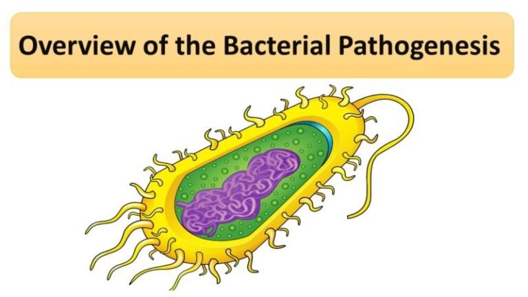 Overview of the Bacterial Pathogenesis