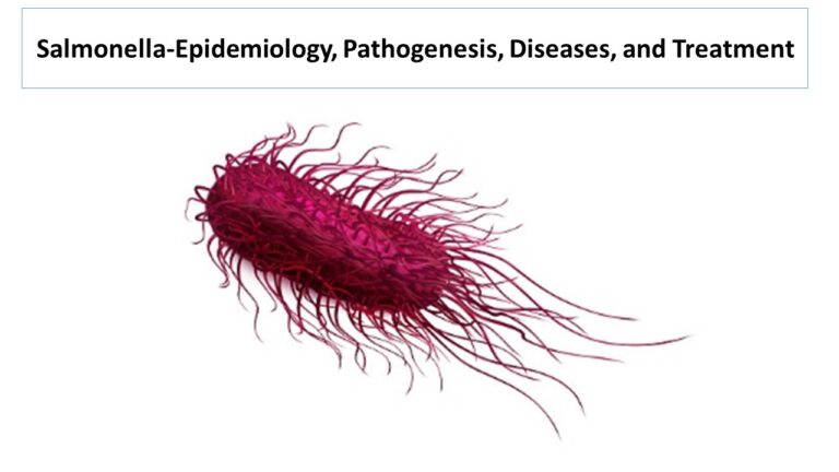 Salmonella-Epidemiology, Pathogenesis, Diseases, and Treatment